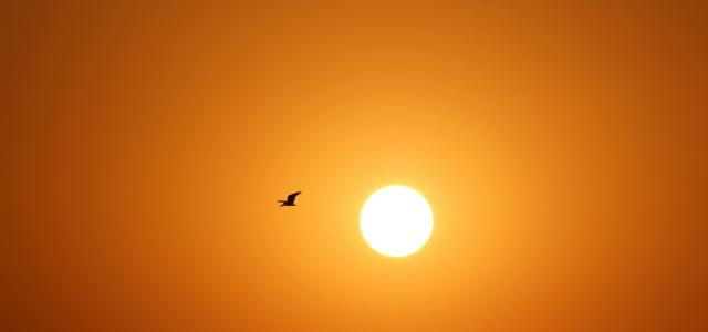 airplane flying during golden hour by Manish Upadhyay courtesy of Unsplash.